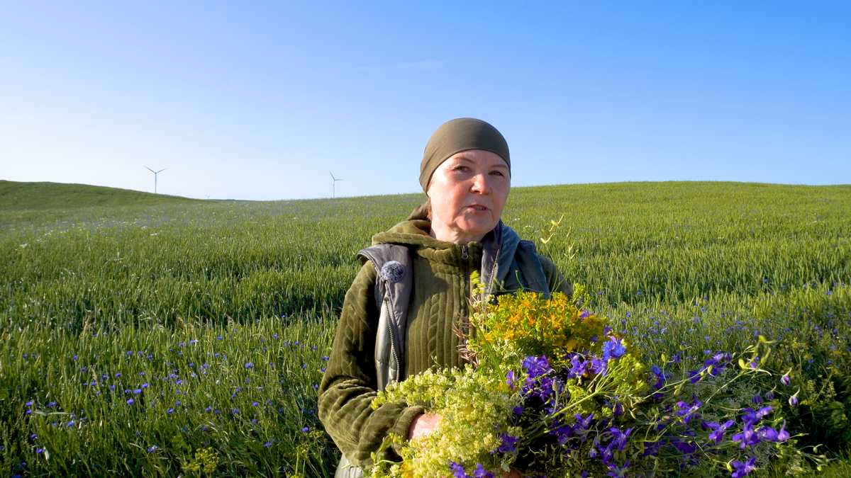 Ilgiausios dienos šventės tradicijos lietuvių kultūroje