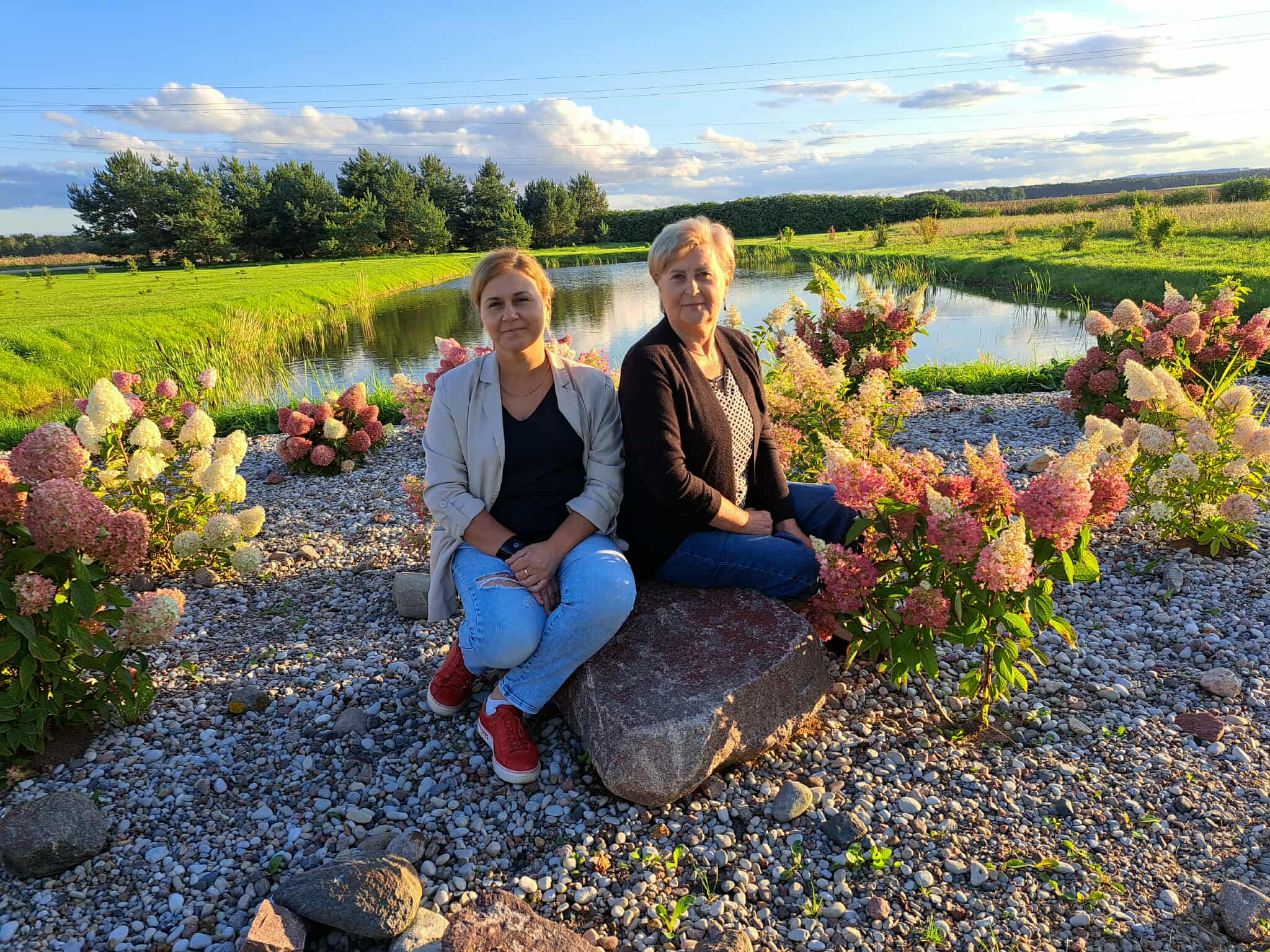 Verslas, augantis kartu su spygliuočiais