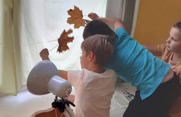 Šešėlių teatro stebuklai. Pasidalinimas gerąja patirtimi