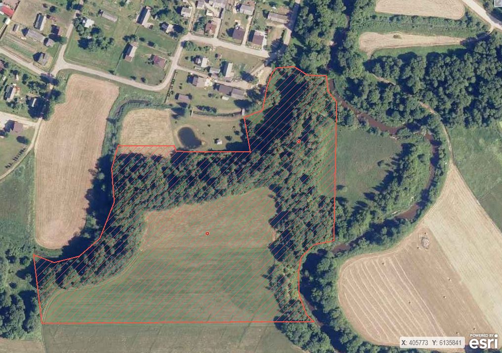 Rasta kaukolė iš Batakių kapinyno