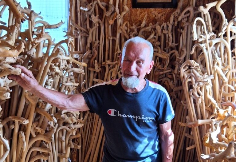 Ant­ros to­kios laz­dos ne­ra­si