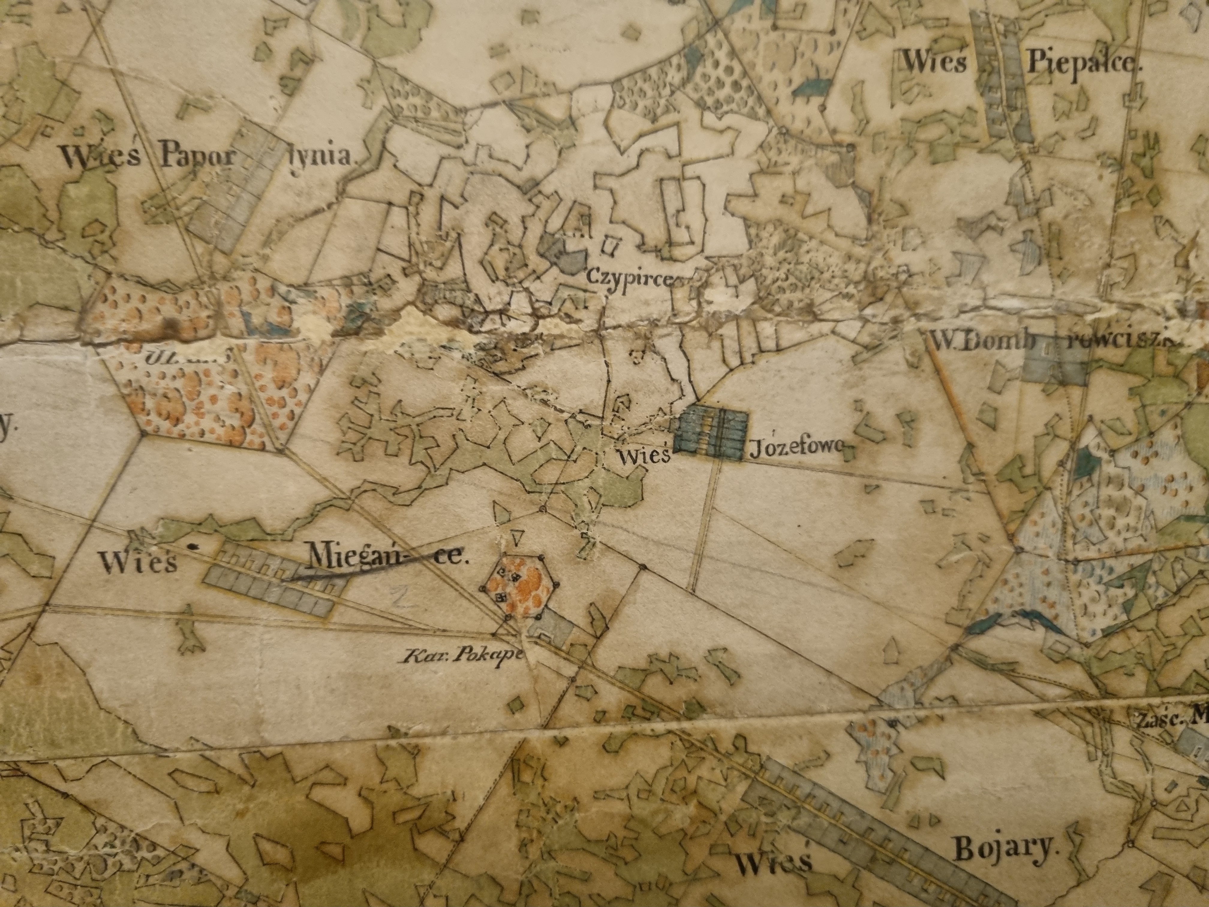 Arūnas Augutis. Augulių šeimos istorija