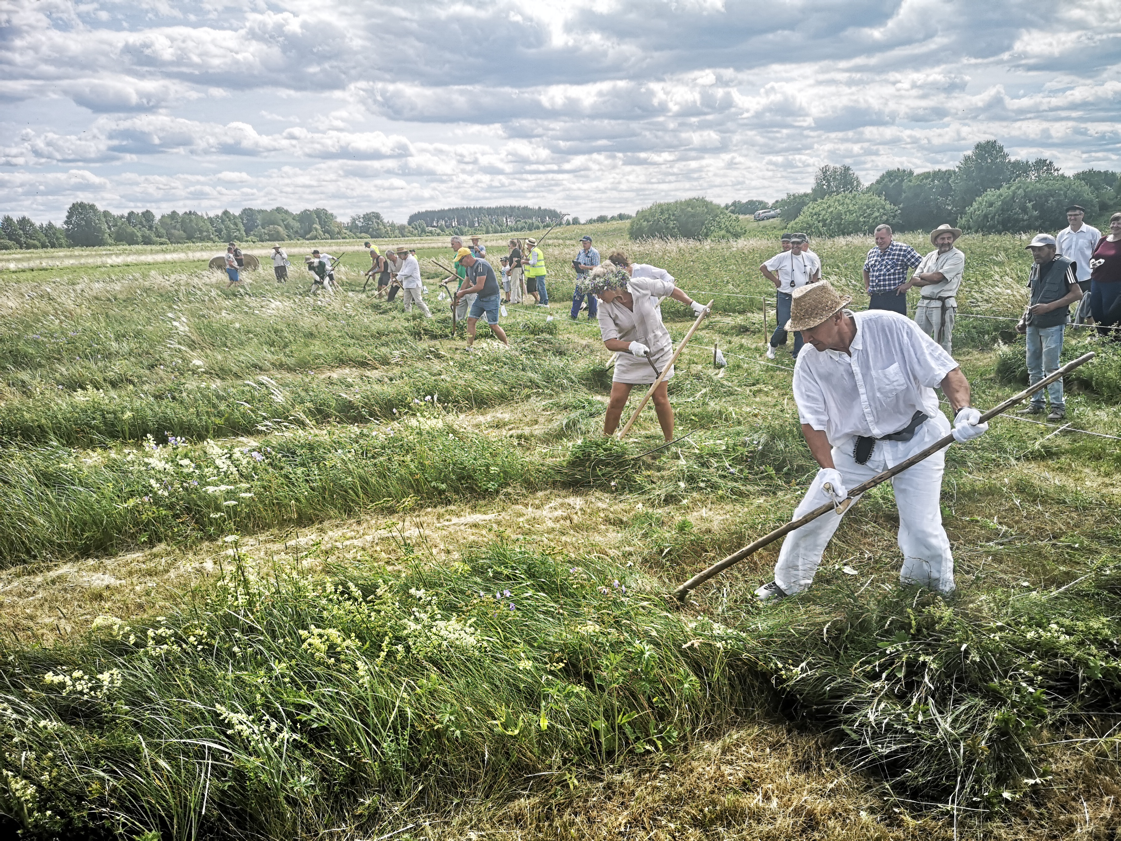 Raigardo slėnyje sutviskėjo dalgiai