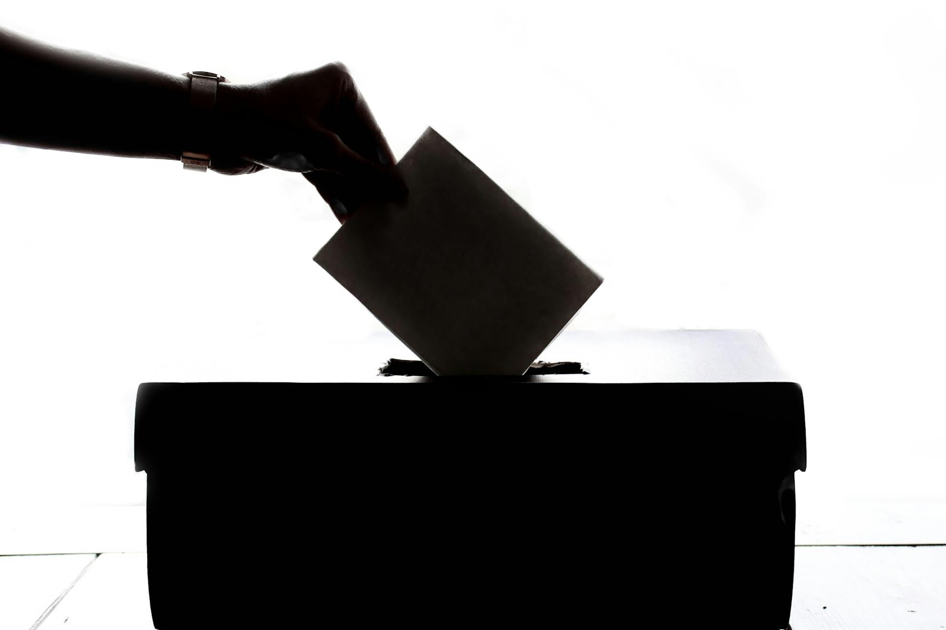 „Girdžiu tavo nuomonę“. Ar reikia mažinti referendumo kartelę?