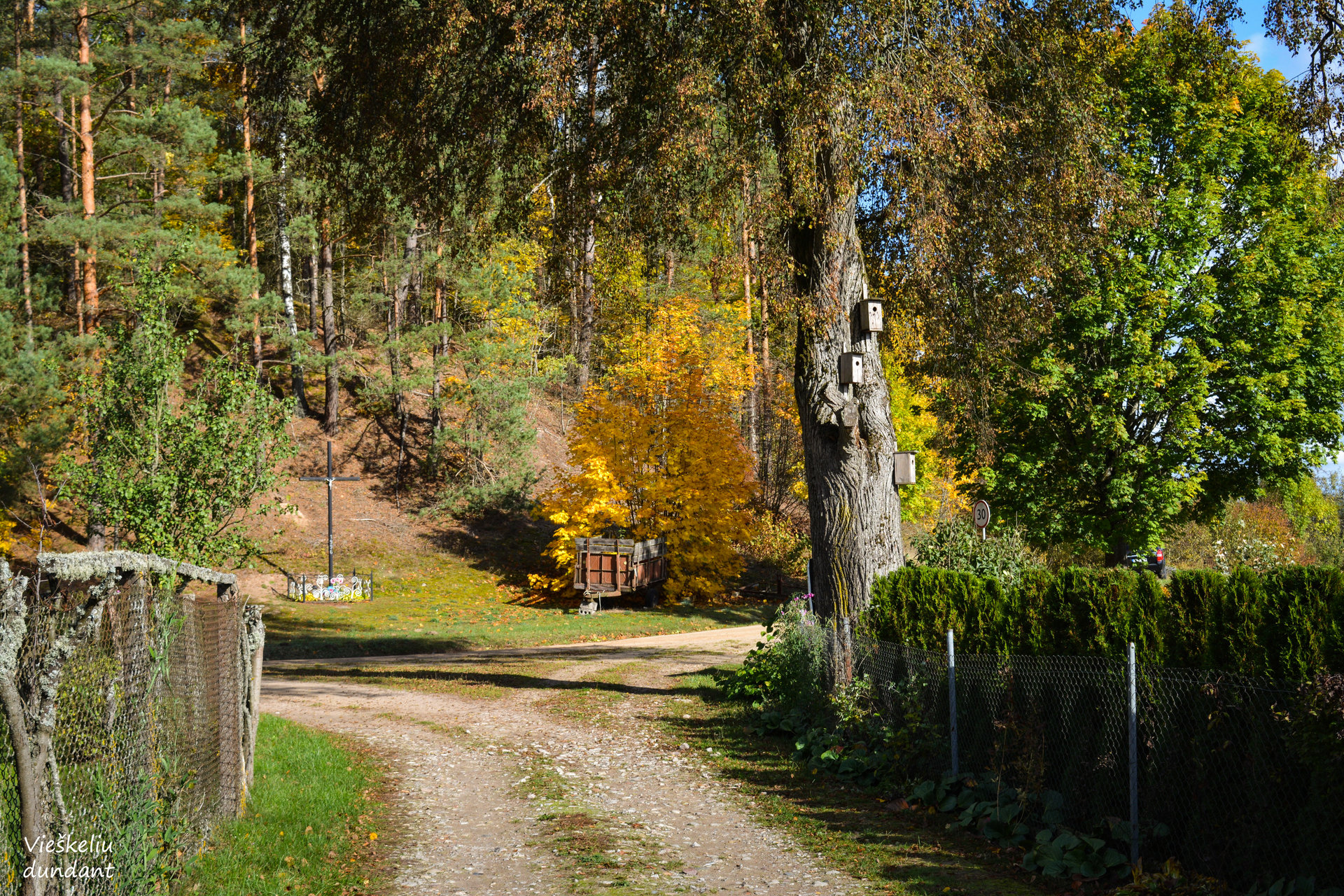 Įstabi Pietų Lietuvos kaimo paslaptis: kas tūno šios vietovės žemės gelmėse?
