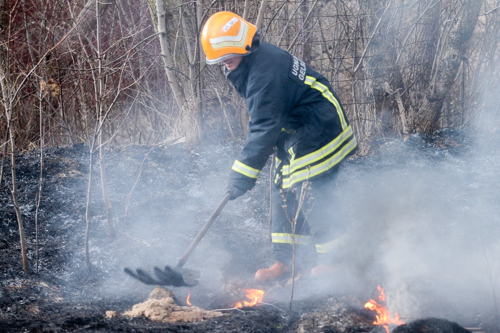 Lietuvos miškų laukia rimti išbandymai: nekontroliuojami gaisrai vos vienas iš pavojų