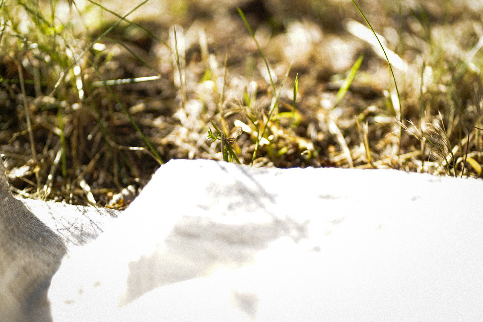 Visa, kas geriausia, verta triūso