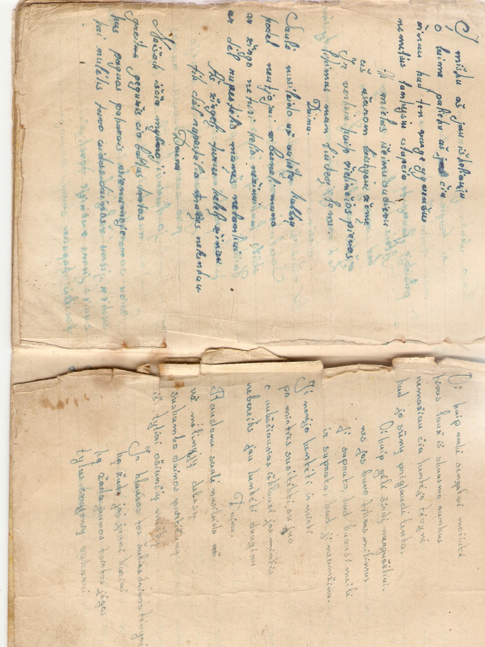 Irena Varnienė. Poezija- Dianos Glemžaitės sielos veidrodis