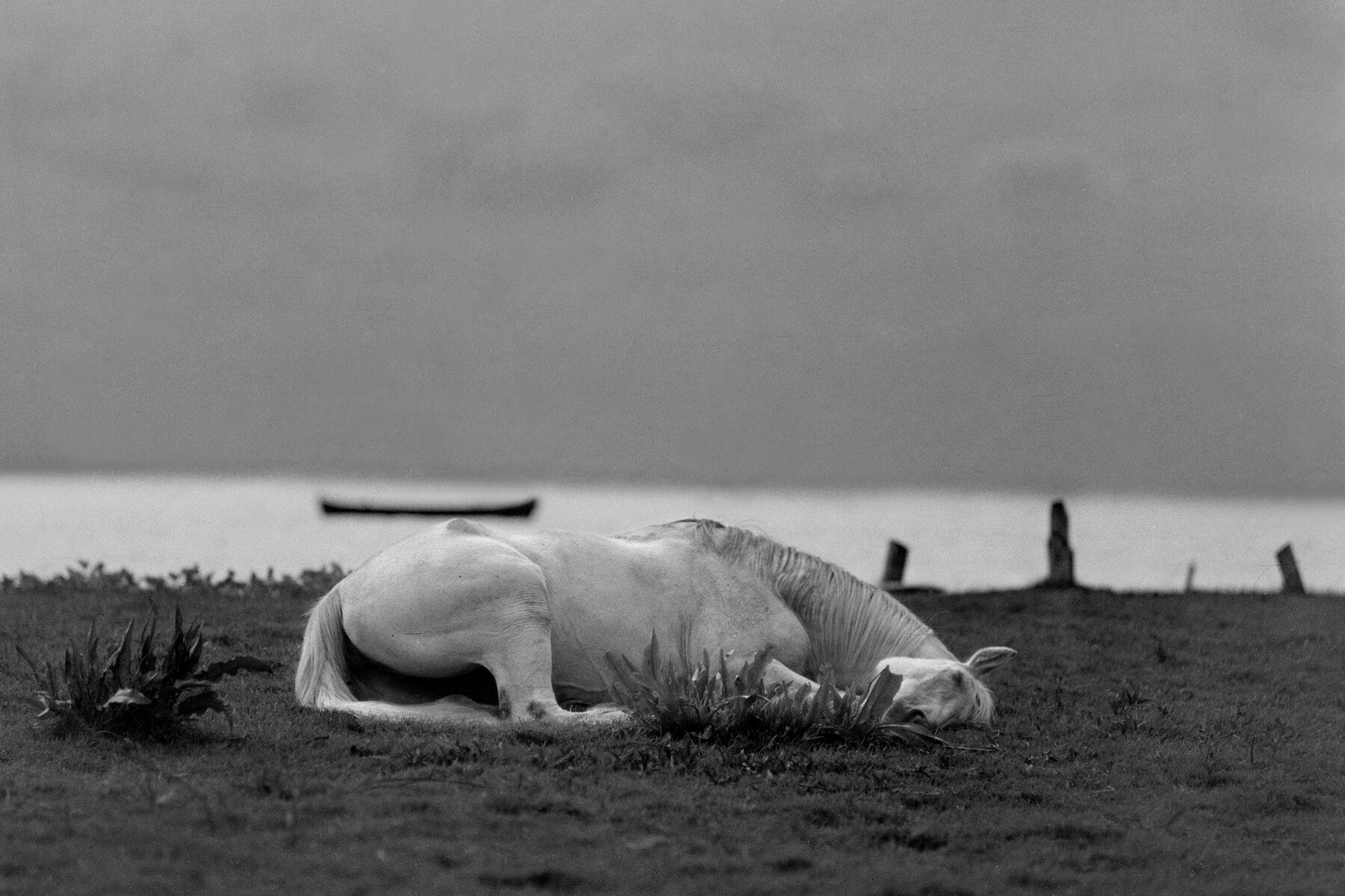 Depresija: kaip padėti sergančiai sielai? Pokalbis su Antanu Mockumi